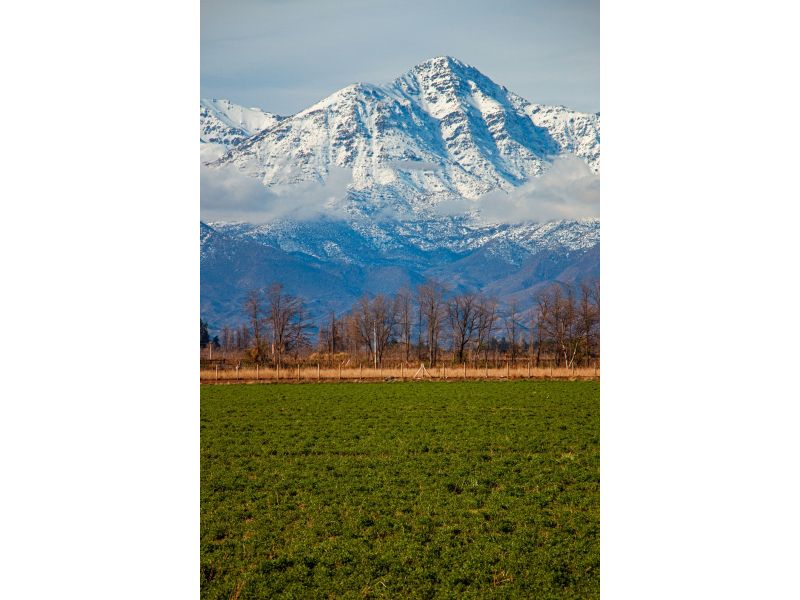 Chile Encantador: Neve, Vinhos e Pacífico - imagem 34
