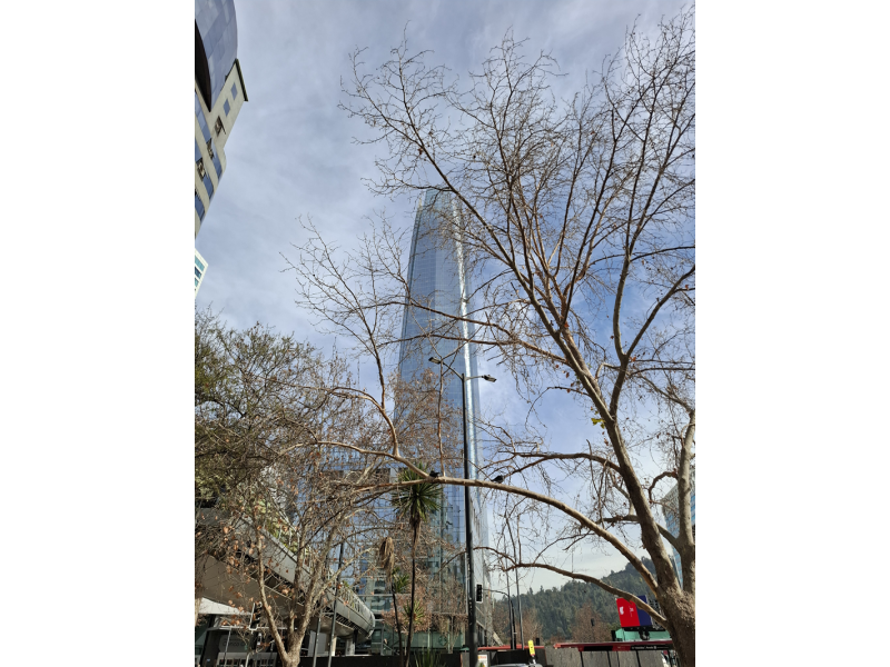 Chile Encantador: Neve, Vinhos e Pacífico - imagem 19