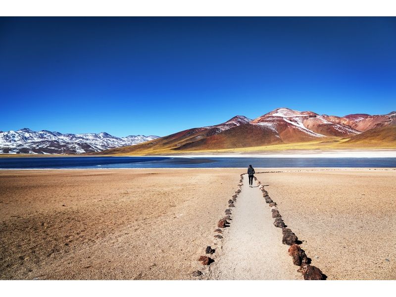 Deserto do Atacama: Onde o Silêncio Brilha - imagem 34