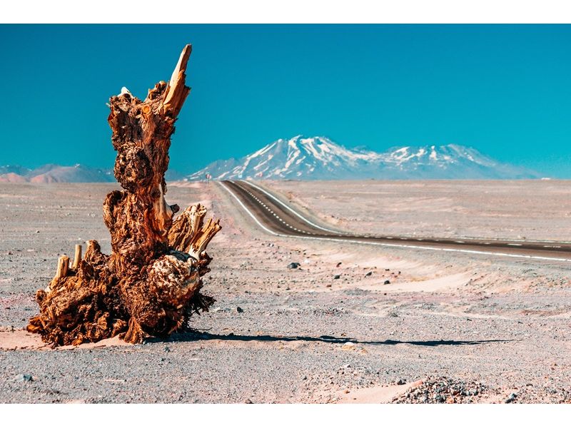 Deserto do Atacama: Onde o Silêncio Brilha - imagem 25