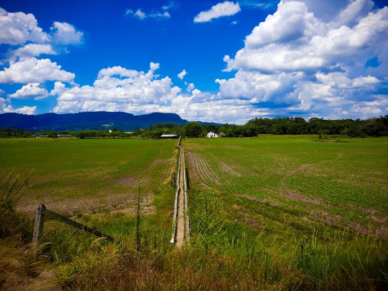 Aqueduto de Candelária e Parque Witeck: Candelária e Novo Gabrais - imagem 5