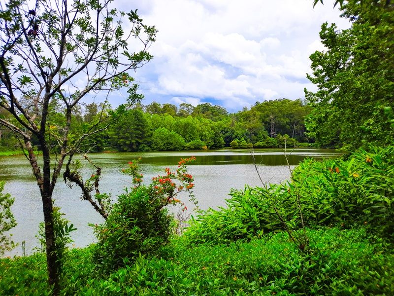 Aqueduto de Candelária e Parque Witeck: Candelária e Novo Gabrais - imagem 2
