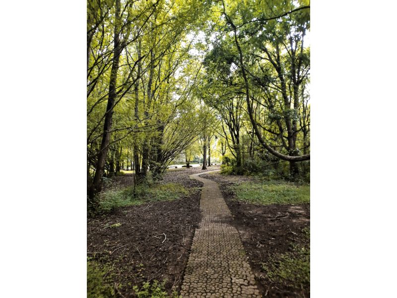 Aqueduto de Candelária e Parque Witeck: Candelária e Novo Gabrais - imagem 14