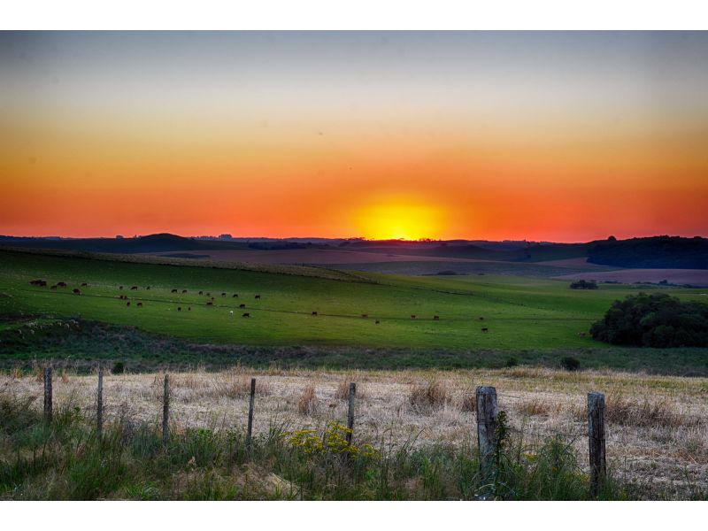 Exposol: Feira Internacional de Pedras Preciosas - Soledade - imagem 8