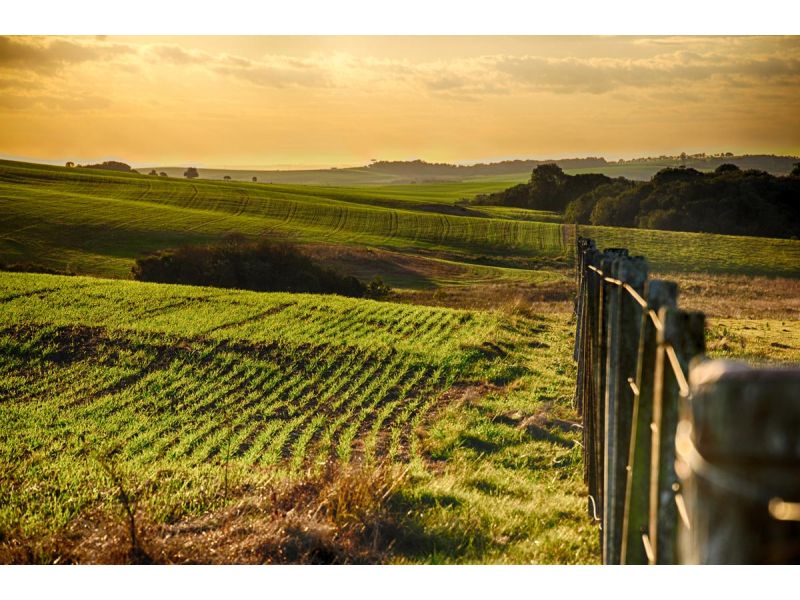 Exposol: Feira Internacional de Pedras Preciosas - Soledade - imagem 21