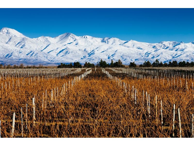 Mendoza Premium: Vinhos, Neve e Cordilheira dos Andes - imagem 10
