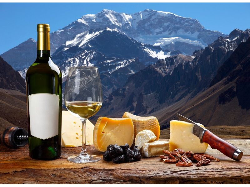 Mendoza Premium: Vinhos, Neve e Cordilheira dos Andes - imagem 19