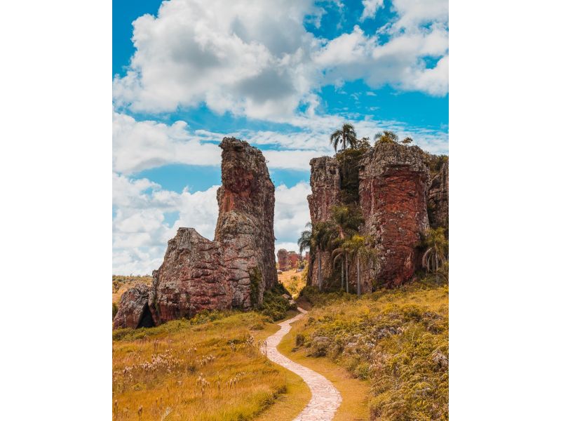 Encantos do Paraná: Curitiba, Trem Serra Mar e Rota Holandesa - imagem 5