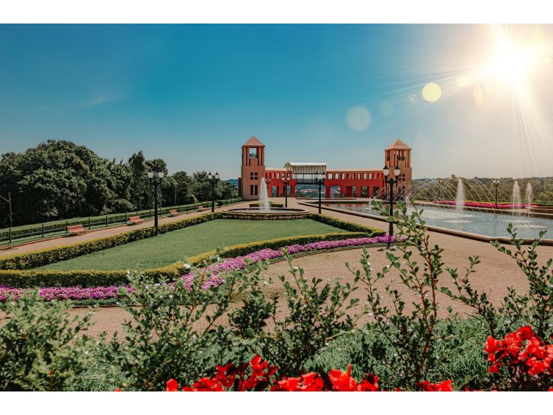 Encantos do Paraná: Curitiba, Trem Serra Mar e Rota Holandesa - imagem 10