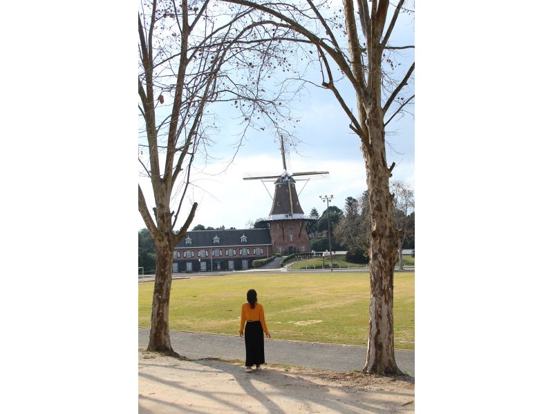 Encantos do Paraná: Curitiba, Trem Serra Mar e Rota Holandesa - imagem 12