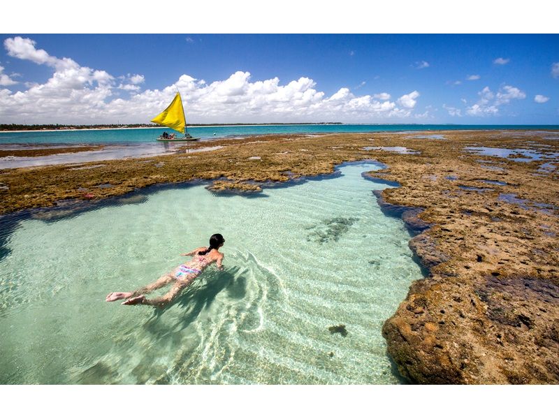Recife, Olinda e Ilha de Santo Aleixo - imagem 15