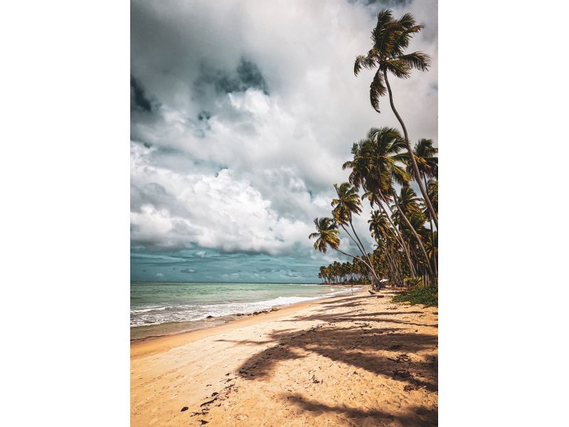 Recife, Olinda e Ilha de Santo Aleixo - imagem 28