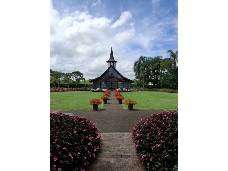 Festa das Flores de Joinville, Barco Príncipe e Trem Serra do Mar Catarinense - imagem 20
