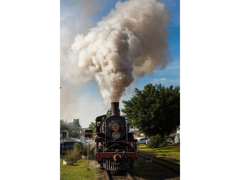Festa das Flores de Joinville, Barco Príncipe e Trem Serra do Mar Catarinense - imagem 9