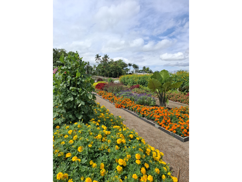 Festa das Flores de Joinville, Barco Príncipe e Trem Serra do Mar Catarinense - imagem 14