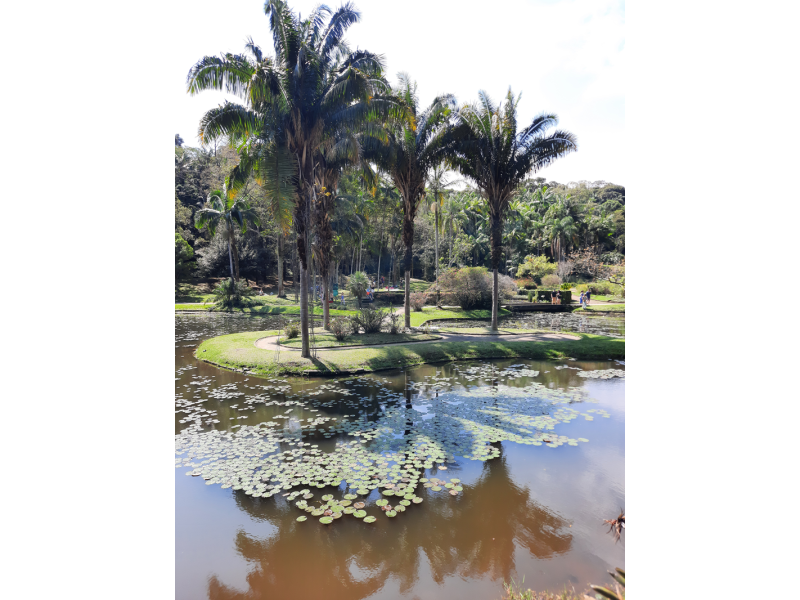 São Paulo Cultural e Histórica - imagem 19