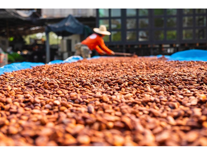 Encantos da Costa do Cacau: Ilhéus e Itacaré - imagem 6