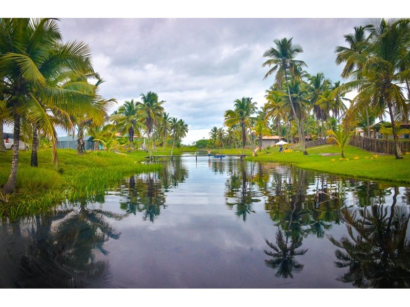 Encantos da Costa do Cacau: Ilhéus e Itacaré - imagem 13