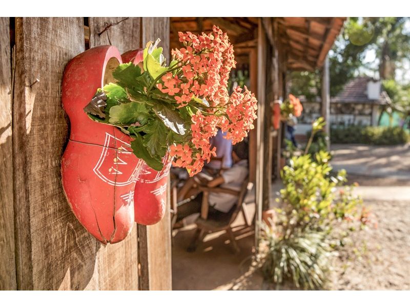 Expoflora, Holambra e Campos do Jordão