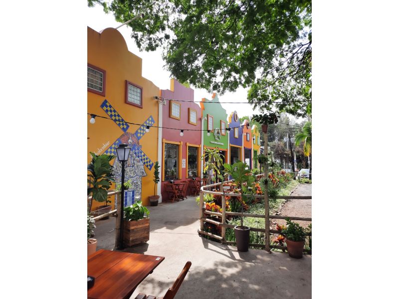 Expoflora, Holambra e Campos do Jordão - imagem 14