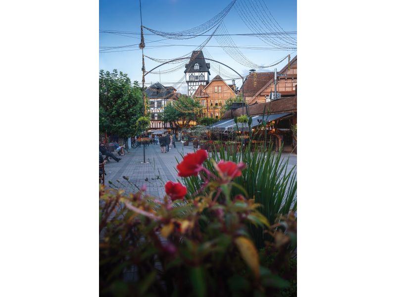 Expoflora, Holambra e Campos do Jordão - imagem 22