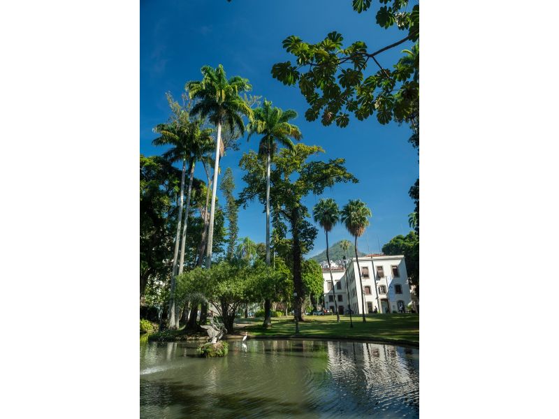 Rio de Janeiro e Petrópolis: Cidade Maravilhosa e Cidade Imperial - imagem 16