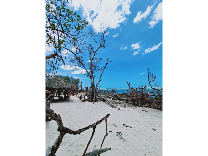 Fortaleza e Jericoacoara - imagem 12