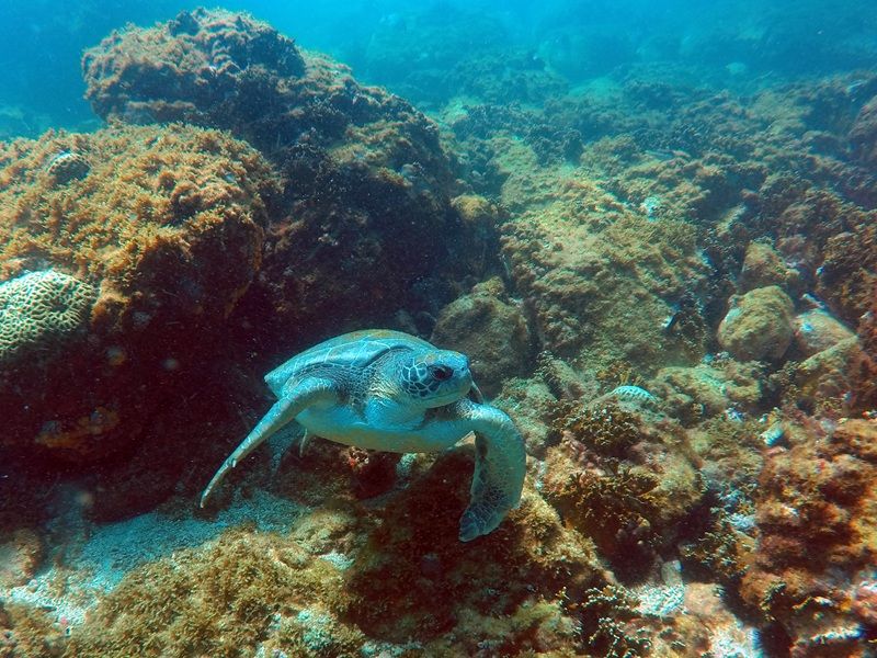 Búzios, Arraial do Cabo e Cabo Frio - imagem 16