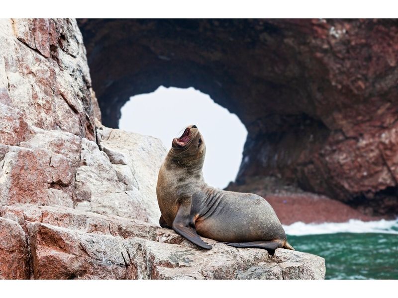 Encantos do Peru: Lima, Cusco, Huacachina e Machu Picchu - imagem 25