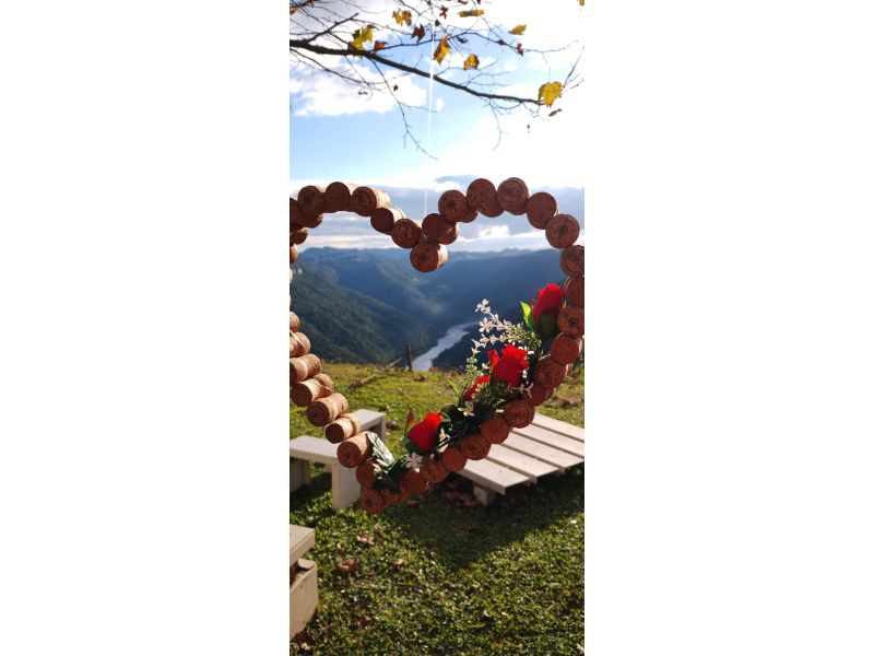 Vinhedos e Piquenique: Nova Pádua e Flores da Cunha - imagem 6