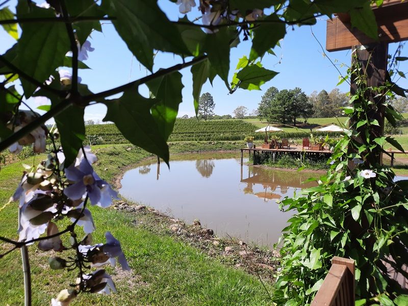 Termas Romanas e Vale Vêneto - imagem 9