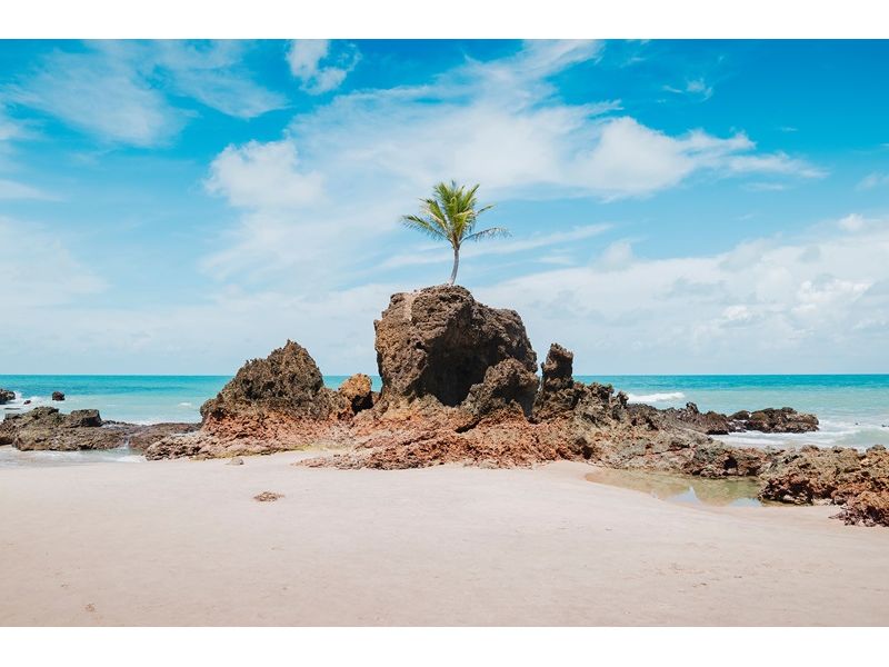  João Pessoa - imagem 9