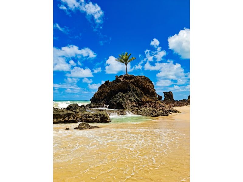  João Pessoa - imagem 25