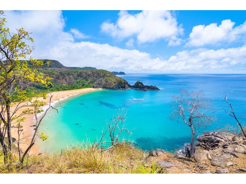 Fernando de Noronha: Um Paraíso no Atlântico - imagem 2