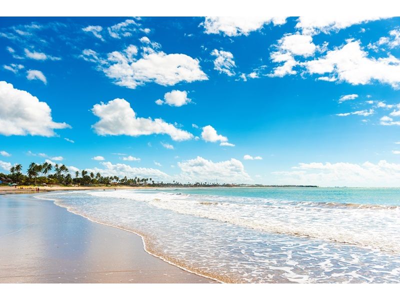 Porto de Galinhas, Ilha de Santo Aleixo, Praia dos Carneiros, Recife e Olinda - imagem 11