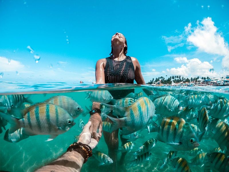 Porto de Galinhas, Ilha de Santo Aleixo, Praia dos Carneiros, Recife e Olinda - imagem 19