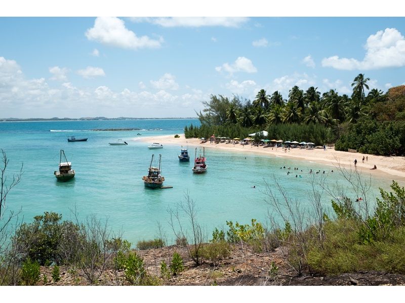 Porto de Galinhas, Ilha de Santo Aleixo, Praia dos Carneiros, Recife e Olinda - imagem 4