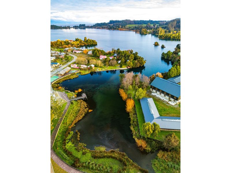Lagos Andinos do Sul do Chile: Entre Vulcões e Lagos Cristalinos - imagem 39