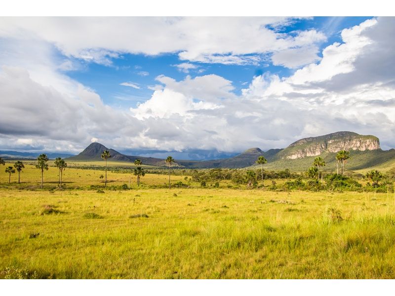 Chapada dos Veadeiros e Brasília – Natureza e História - imagem 16