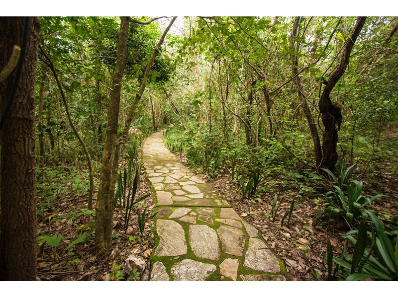 Chapada dos Veadeiros e Brasília – Natureza e História - imagem 13