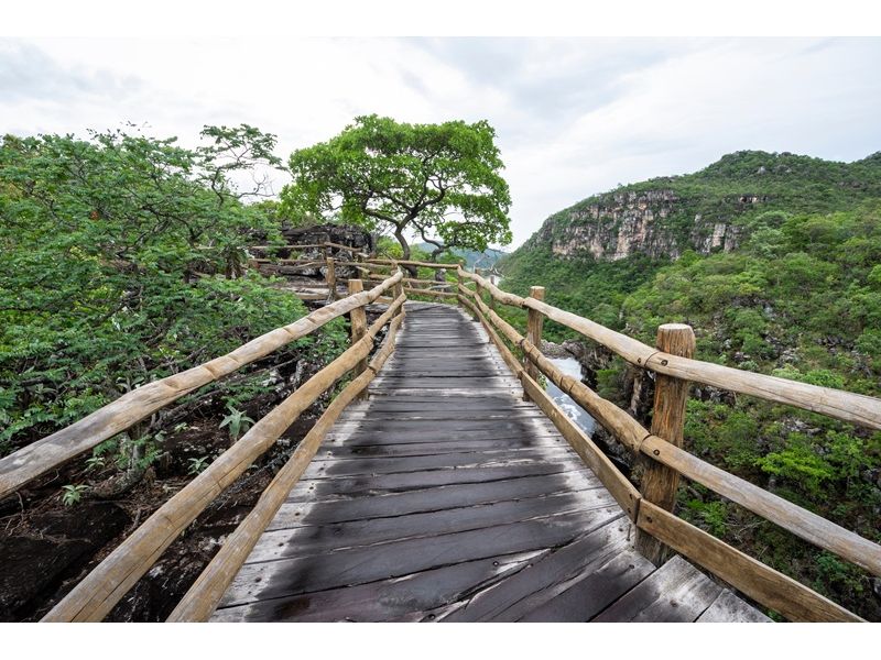 Chapada dos Veadeiros e Brasília – Natureza e História - imagem 15