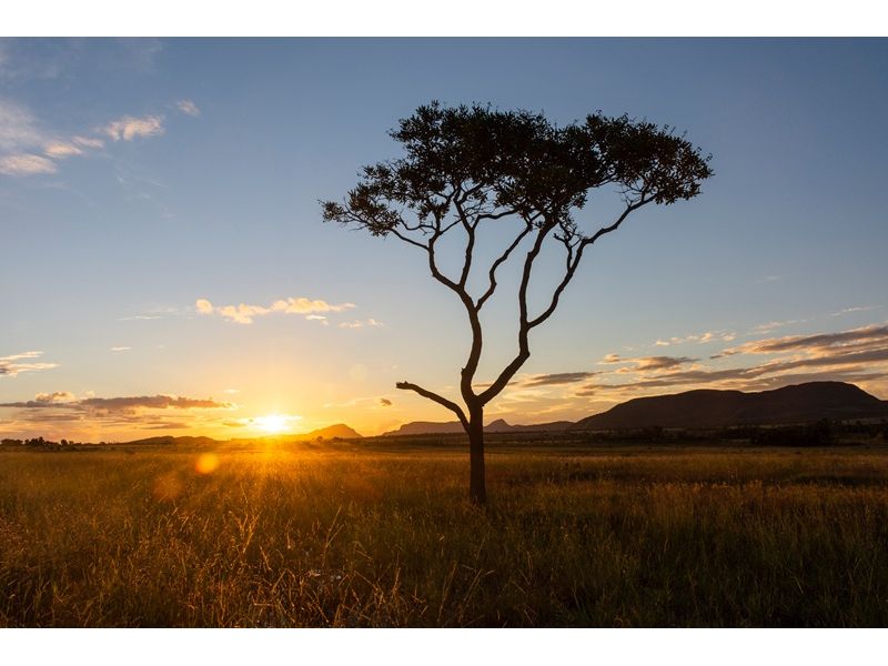 Chapada dos Veadeiros e Brasília – Natureza e História - imagem 6