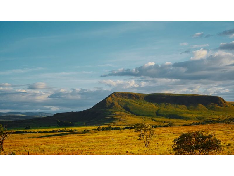 Chapada dos Veadeiros e Brasília – Natureza e História - imagem 4