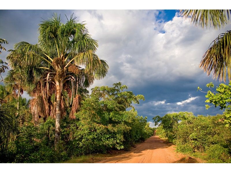 Jalapão e Palmas: Encantos do Tocantins - imagem 16