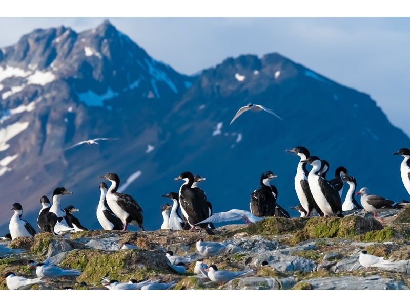 Patagônia Austral: Ushuaia, El Calafate e Torres del Paine - imagem 22