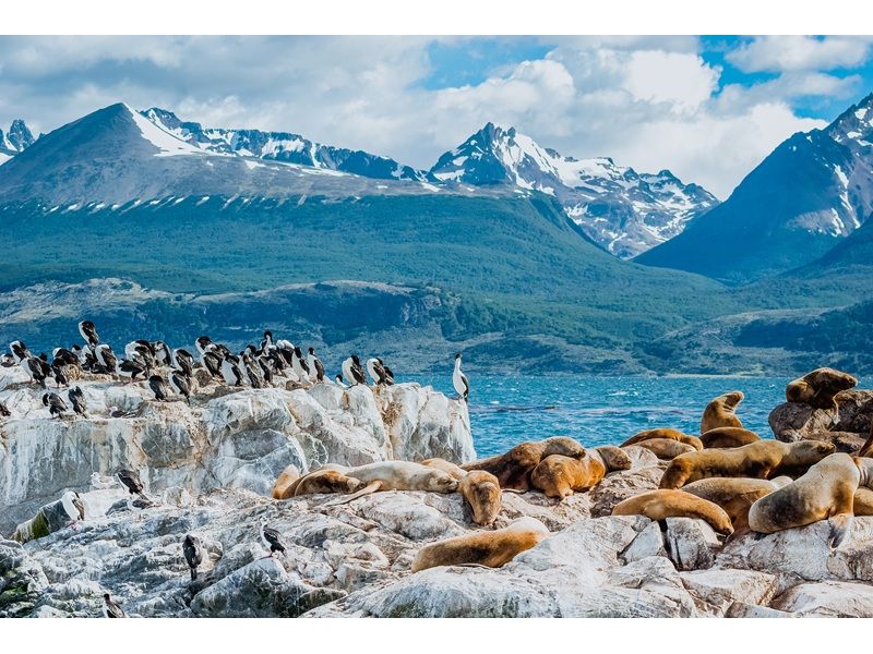 Patagônia Austral: Ushuaia, El Calafate e Torres del Paine - imagem 9