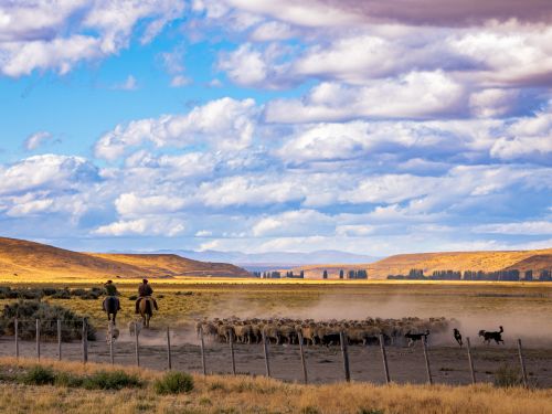 Campanha Gaúcha e Trem do Pampa: Bagé, Sant`Ana do Livramento e Rivera