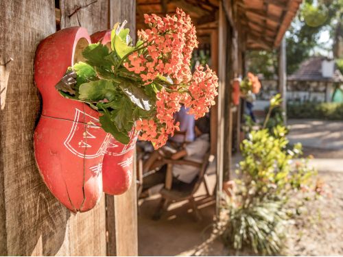 Holambra e Campos do Jordão