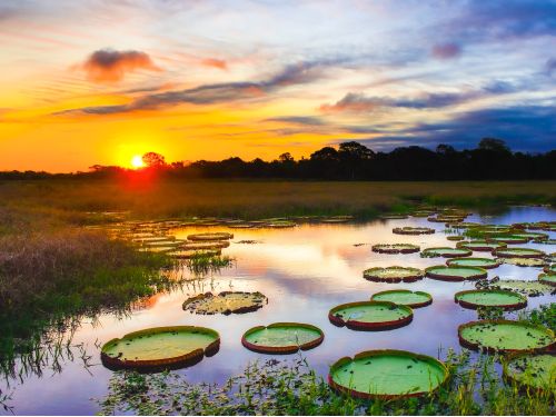 Circuito Pantaneiro: Bonito e Pantanal