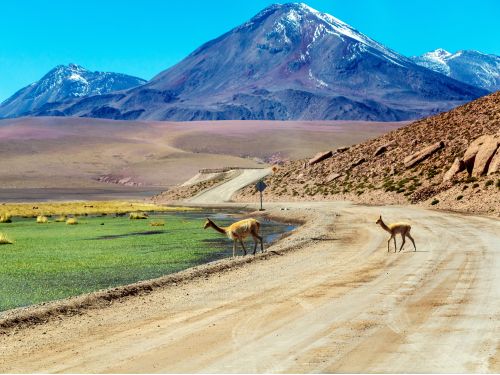 Deserto do Atacama: Onde o Silêncio Brilha